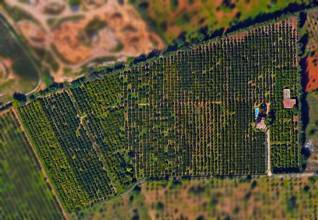 Thumbnail von Country House For Sale in Marratxi, Baleares