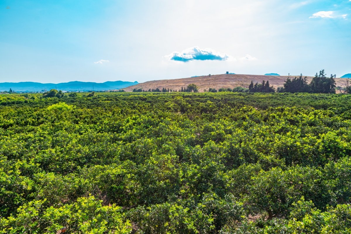 Thumbnail von Country House For Sale in Marratxi, Baleares