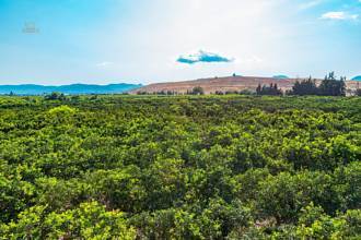 Thumbnail von Country House For Sale in Marratxi, Baleares