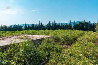 Thumbnail von Country House For Sale in Marratxi, Baleares