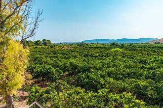 Thumbnail von Country House For Sale in Marratxi, Baleares