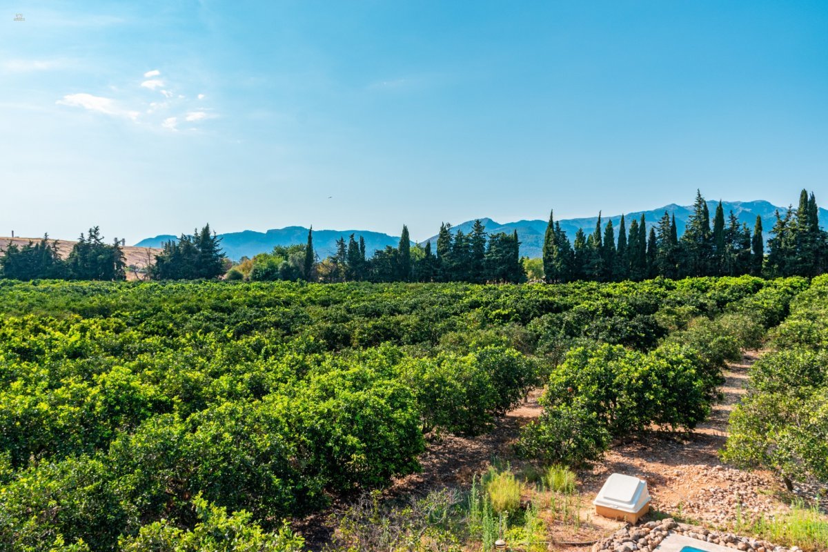 Thumbnail von Country House For Sale in Marratxi, Baleares