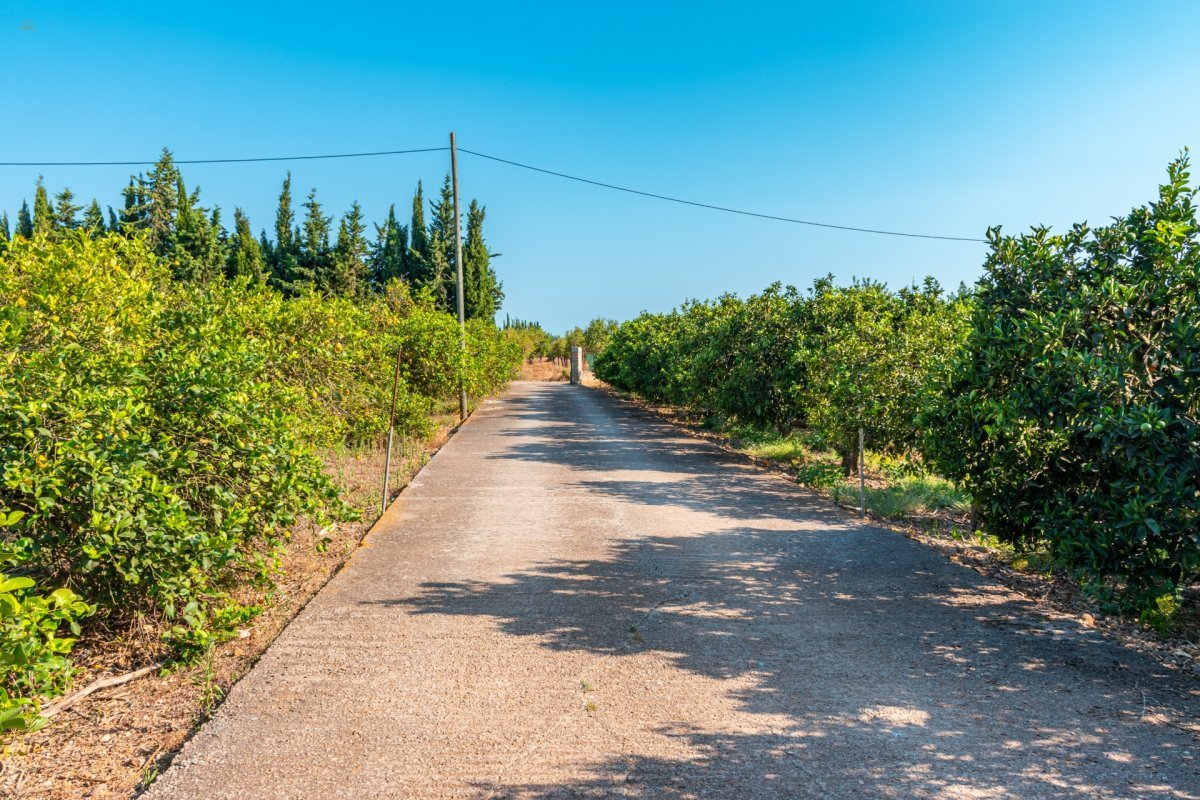 Thumbnail von Country House For Sale in Marratxi, Baleares