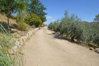 Thumbnail von Villa For Sale in Alhaurin de la Torre, Málaga