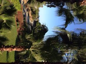 Thumbnail von Luxus-Wohnung in Nueva Andalucia R2833874