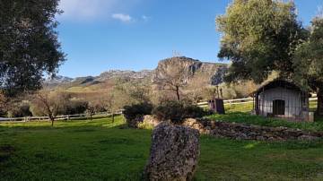 Thumbnail von Country House For Sale in Ronda, Málaga