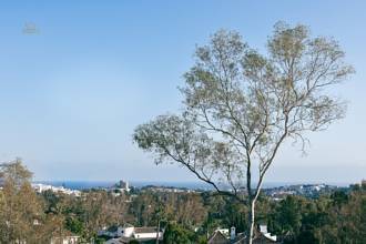 Thumbnail von Apartment For Sale in Marbella, Málaga