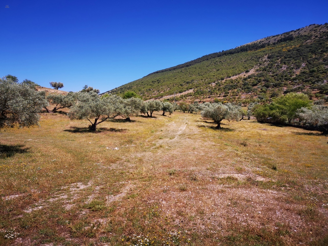 Thumbnail von Land For Sale in Periana, Málaga