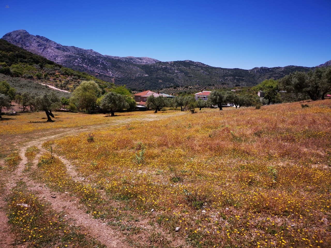 Thumbnail von Land For Sale in Periana, Málaga