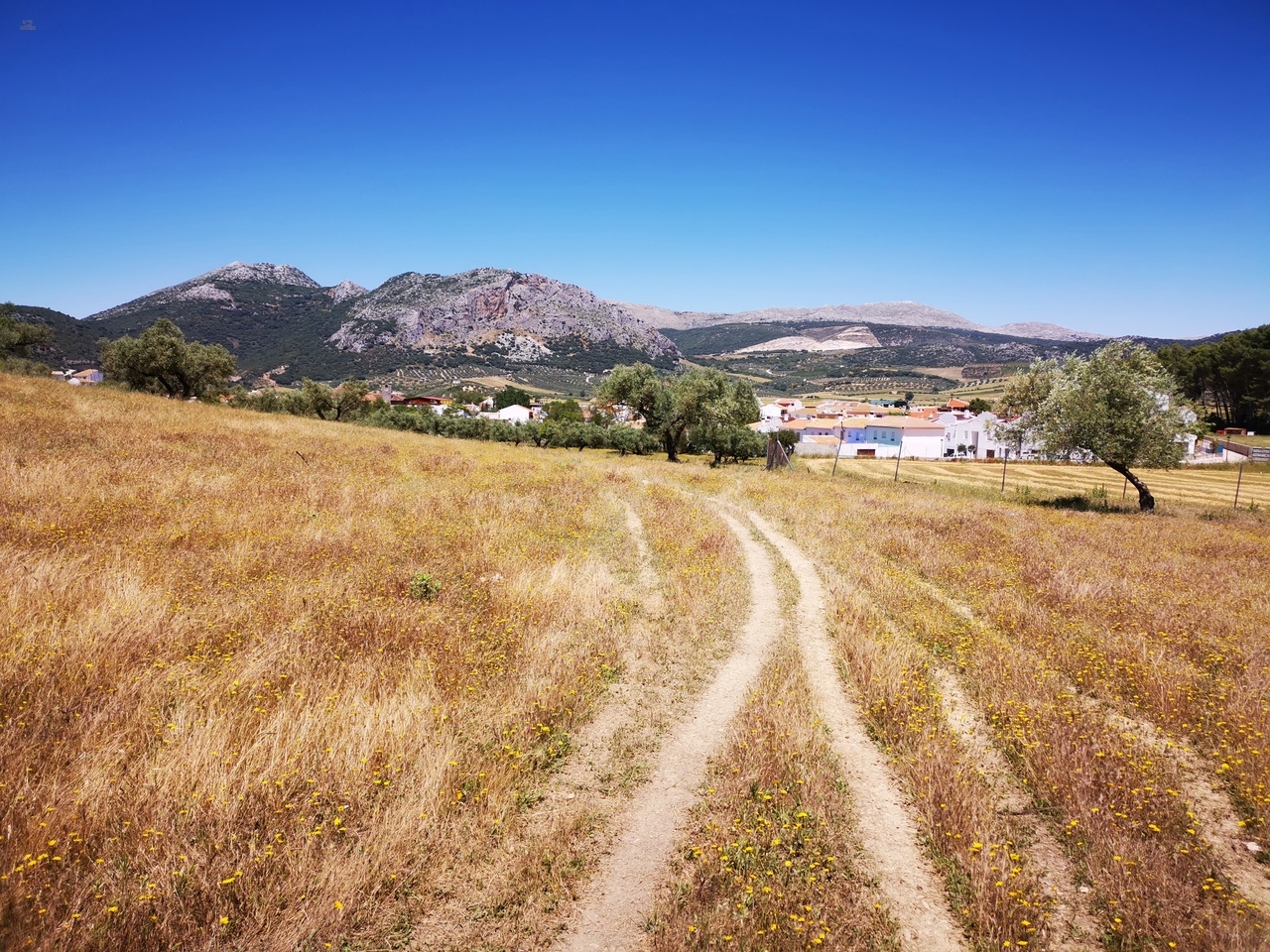 Thumbnail von Land For Sale in Periana, Málaga