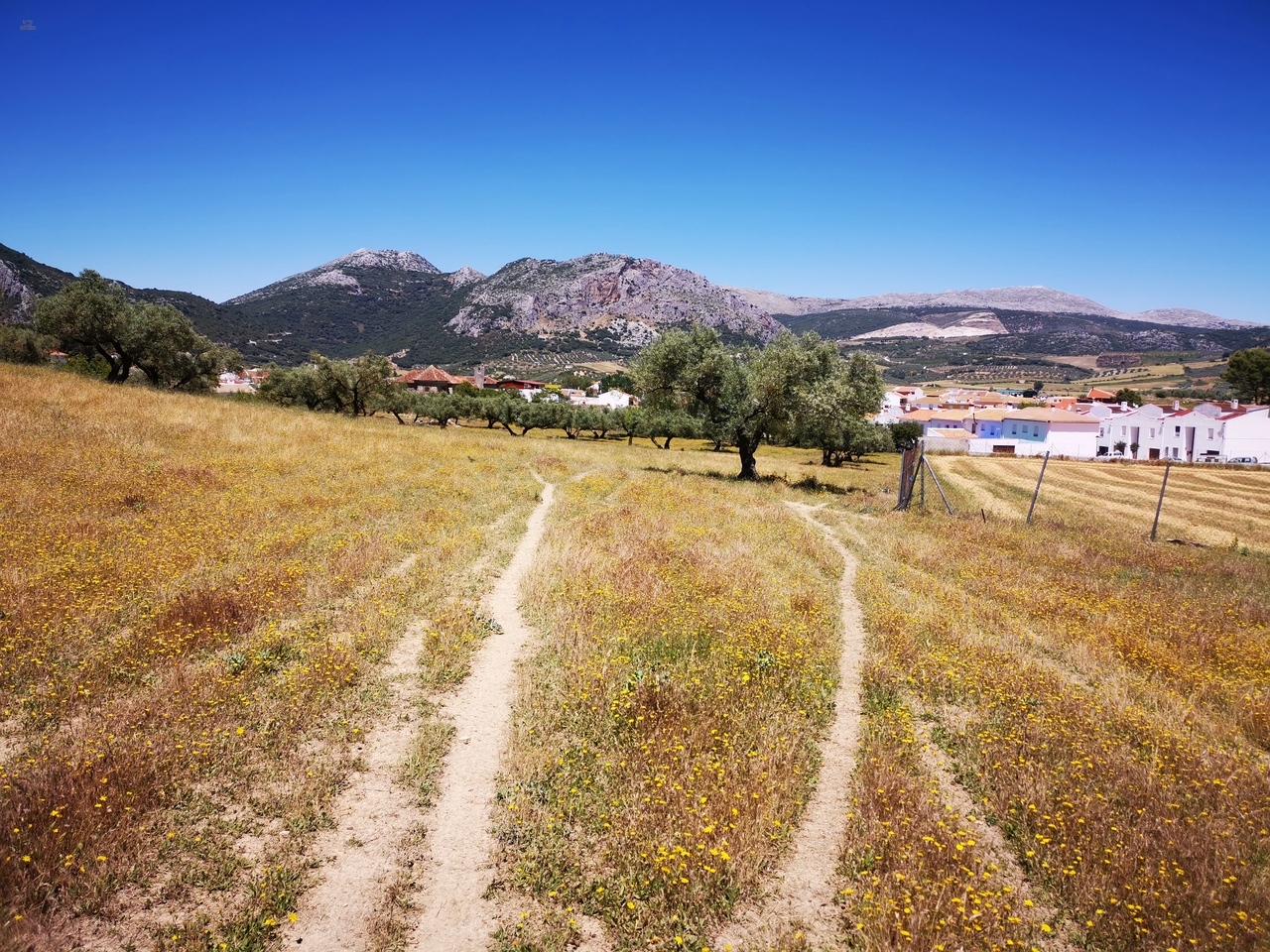 Thumbnail von Land For Sale in Periana, Málaga