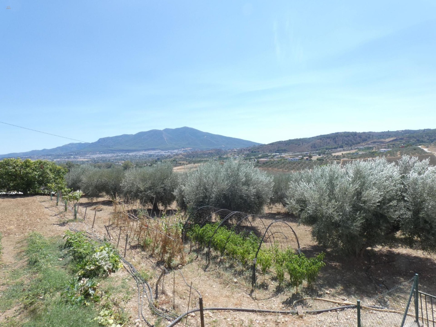 Thumbnail von Country House For Sale in Coin, Málaga