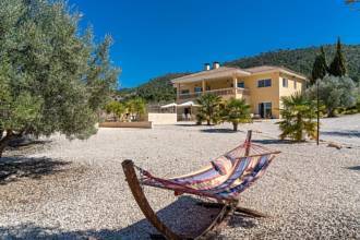 Thumbnail von Country House For Sale in Pinoso, Alicante