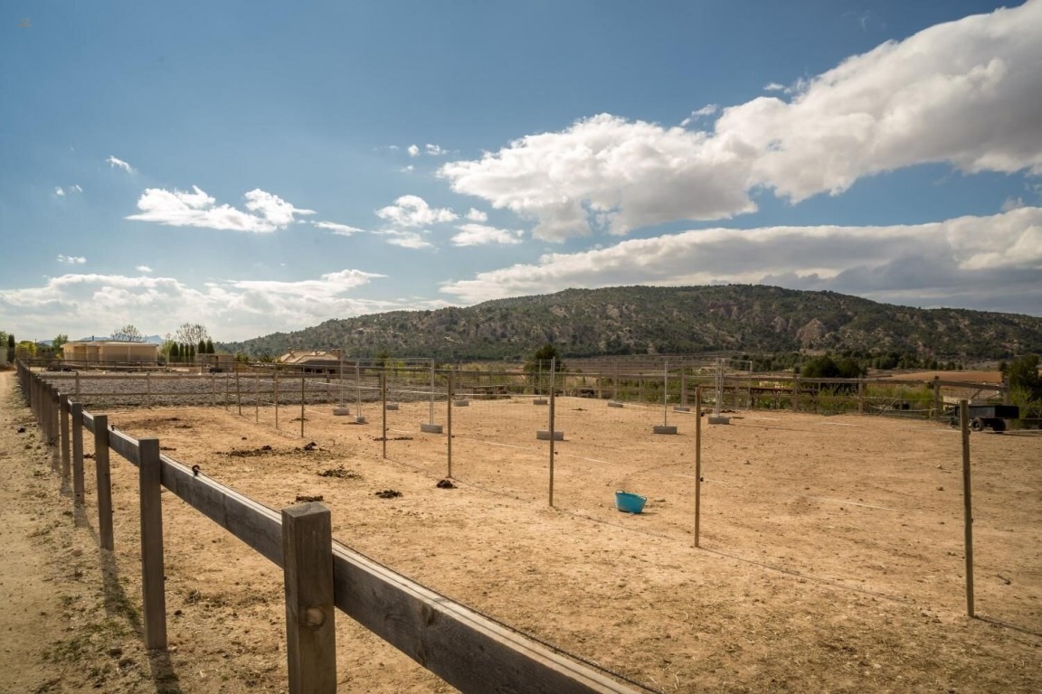 Thumbnail von Country House For Sale in Pinoso, Alicante