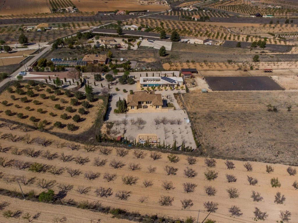 Thumbnail von Country House For Sale in Pinoso, Alicante