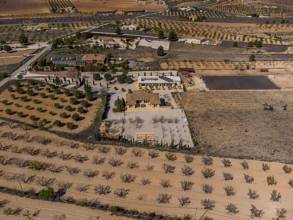Thumbnail von Country House For Sale in Pinoso, Alicante