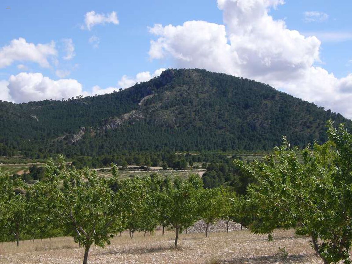 Thumbnail von Villa For Sale in Salinas, Alicante