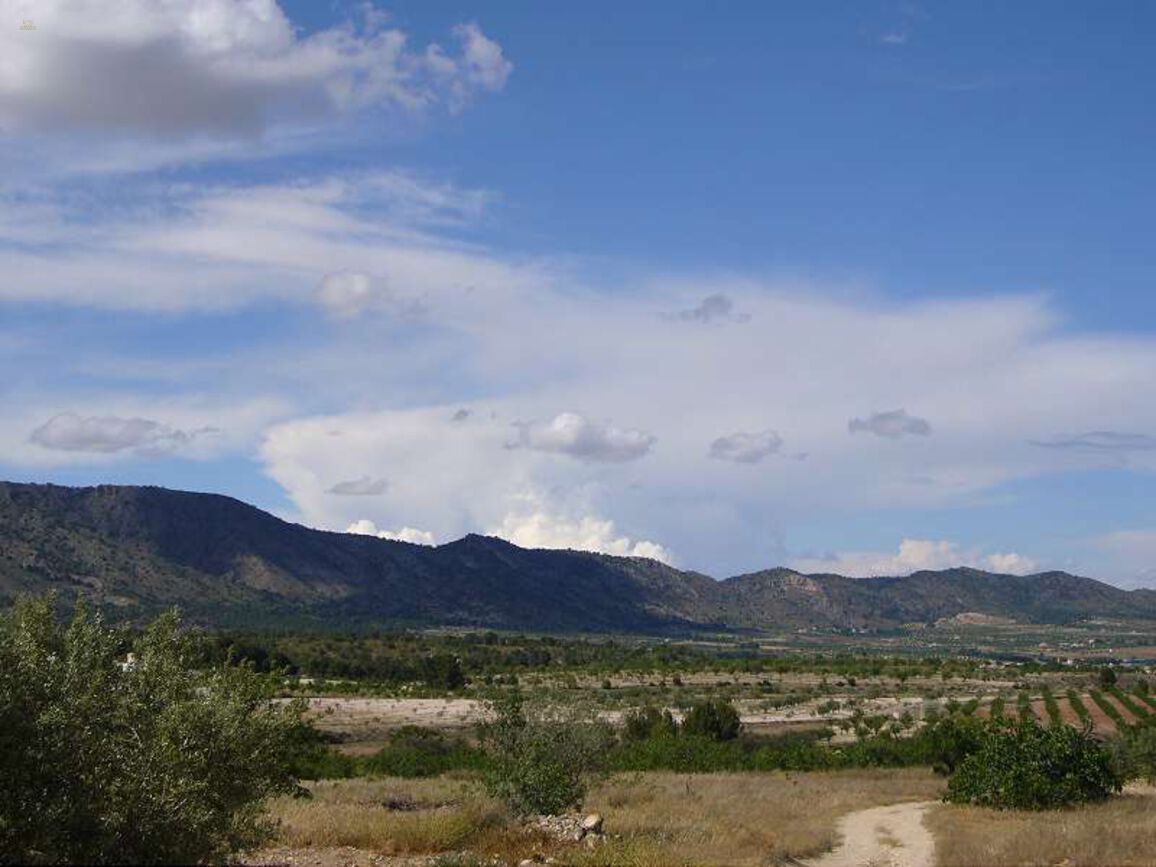 Thumbnail von Villa For Sale in Salinas, Alicante