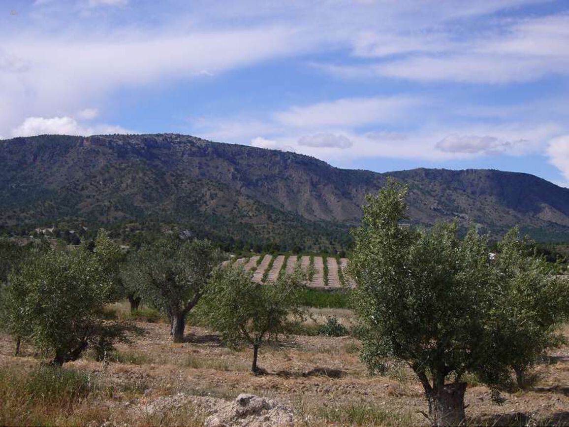 Thumbnail von Villa For Sale in Salinas, Alicante