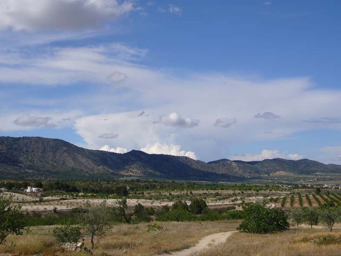 Thumbnail von Villa For Sale in Salinas, Alicante