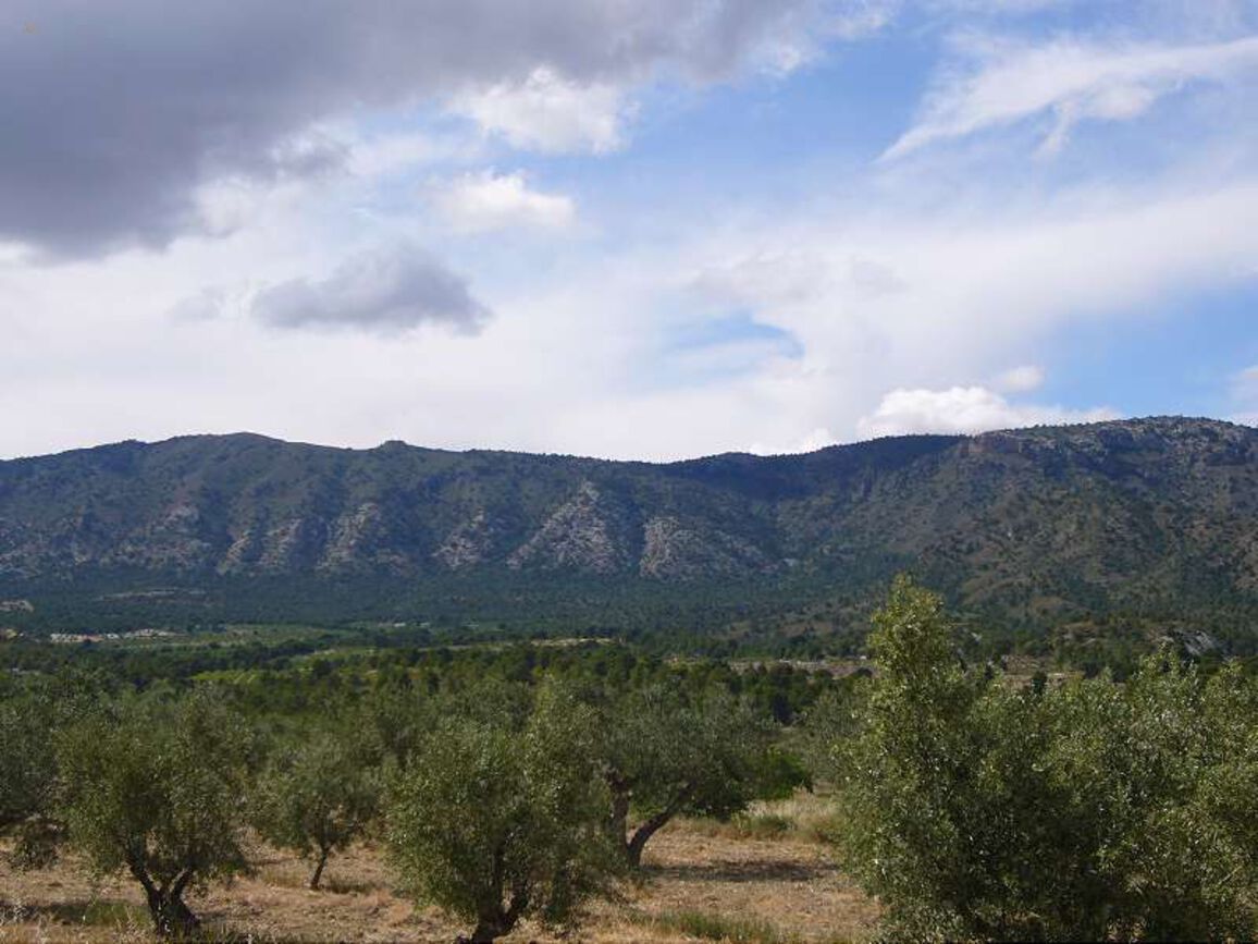 Thumbnail von Villa For Sale in Salinas, Alicante