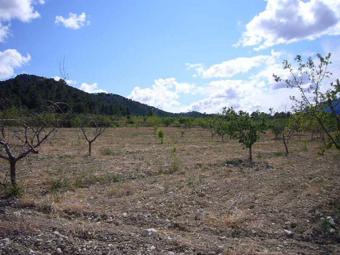 Thumbnail von Villa For Sale in Salinas, Alicante