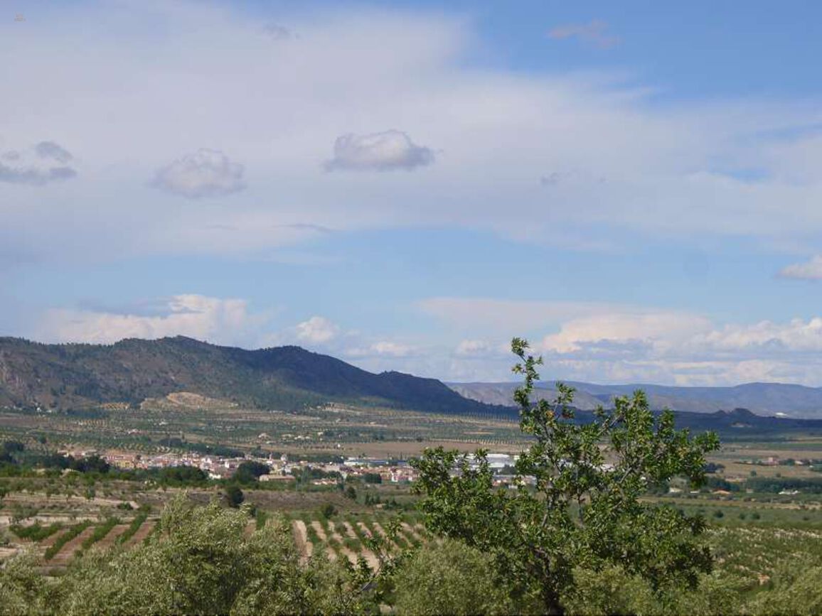 Thumbnail von Villa For Sale in Salinas, Alicante