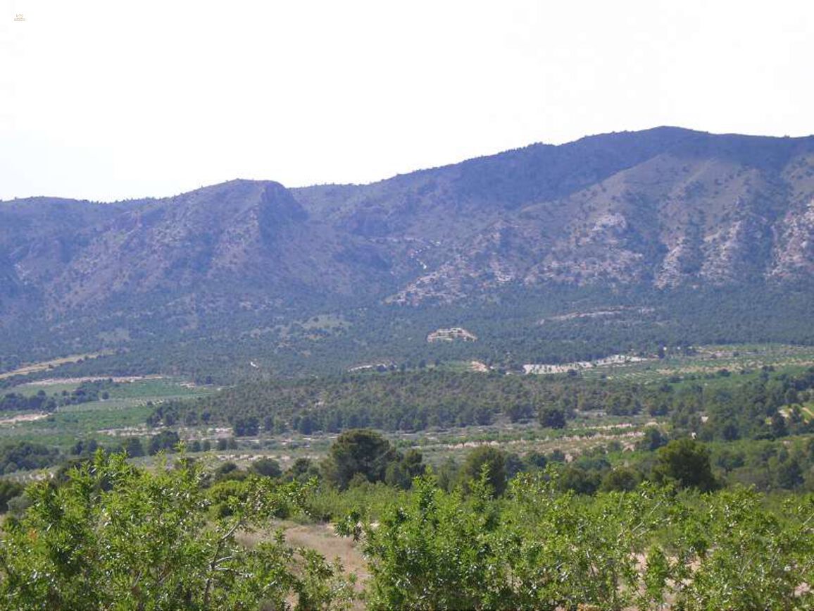 Thumbnail von Villa For Sale in Salinas, Alicante