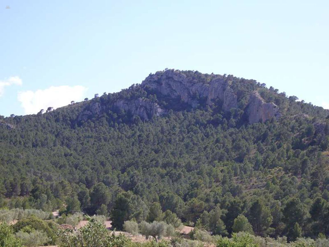 Thumbnail von Villa For Sale in Salinas, Alicante