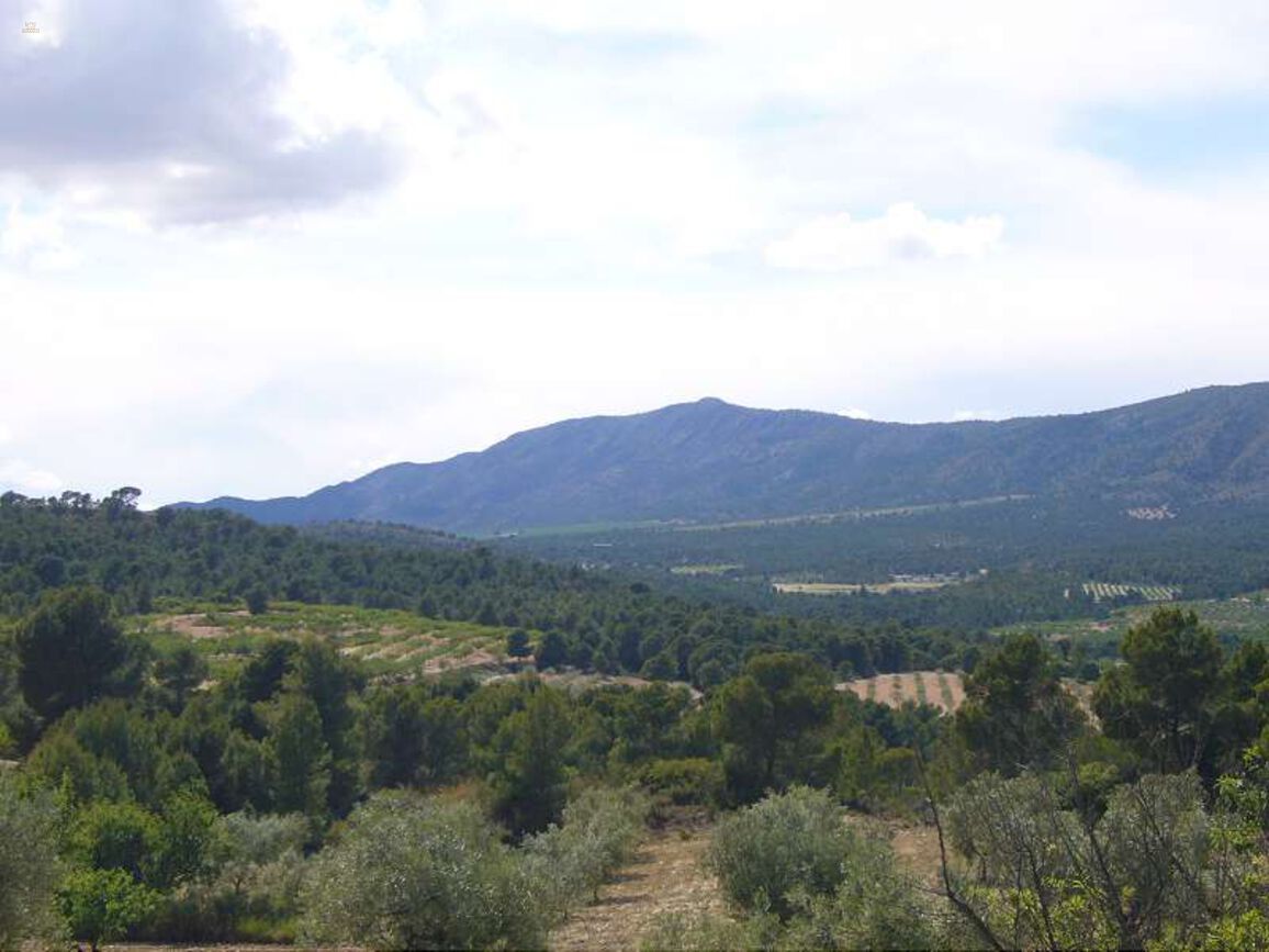 Thumbnail von Villa For Sale in Salinas, Alicante