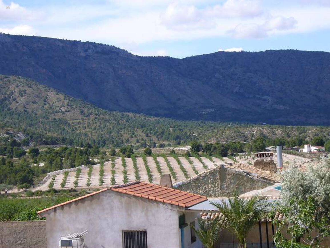 Thumbnail von Villa For Sale in Salinas, Alicante