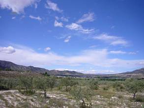 Thumbnail von Villa For Sale in Salinas, Alicante