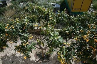 Thumbnail von Apartment For Sale in Calpe, Alicante