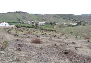 Thumbnail von Land For Sale in Manila, Málaga