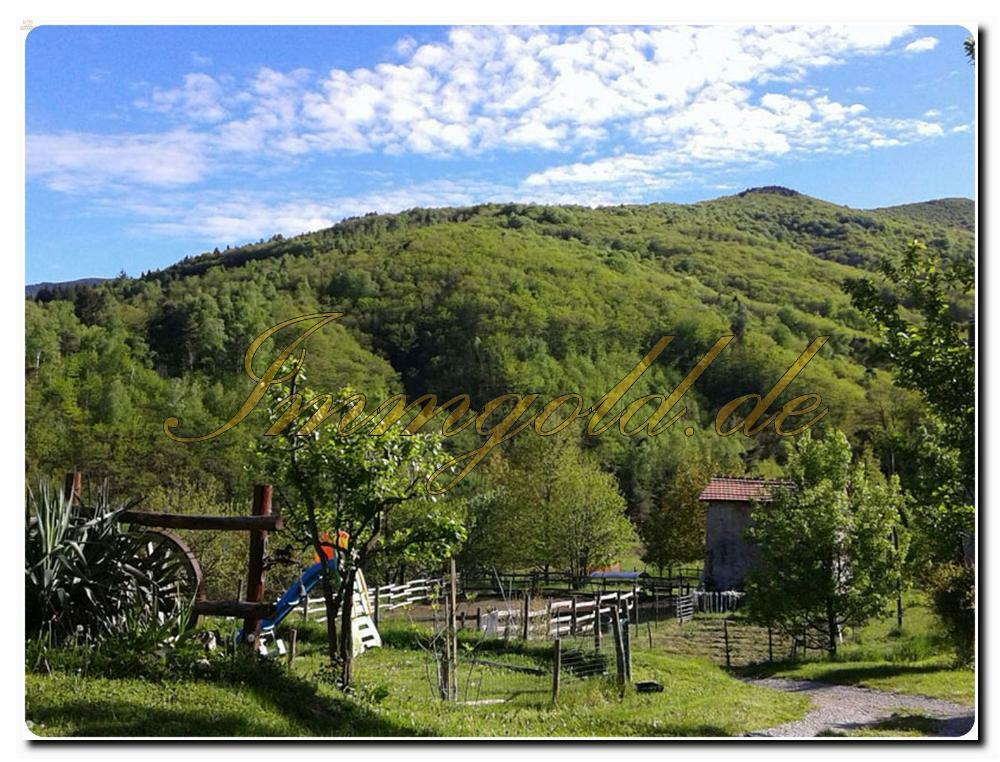 Thumbnail von Immogold Villa mit riesigem Grundstück am Wasser