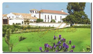 Thumbnail von mmogold, gepflegte Finca mit Gästezimmern und Reitstall