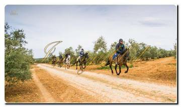 Thumbnail von mmogold, gepflegte Finca mit Gästezimmern und Reitstall