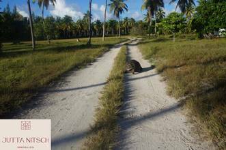 Thumbnail von Luxury Beach Villa with Pool, Terrace, and Sea View - Seychelles - Hotel Access Possible
