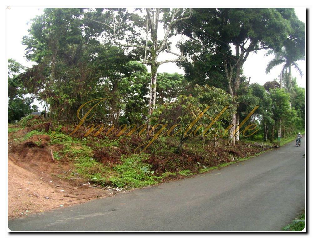 Thumbnail von Immogold tolle, beispielhafte, aparte Grundstücke im Norden/NordOst der Insel