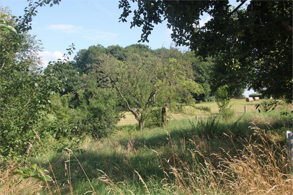 Thumbnail von Sie wollen Ihre Ruhe am Stadtrand von Dresden haben?