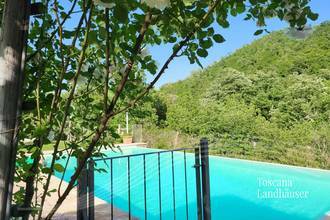 Thumbnail von Märchenhaftes Rustico im Chianti Gebiet mit Infinity-Pool
