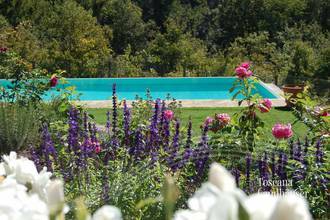Thumbnail von Märchenhaftes Rustico im Chianti Gebiet mit Infinity-Pool