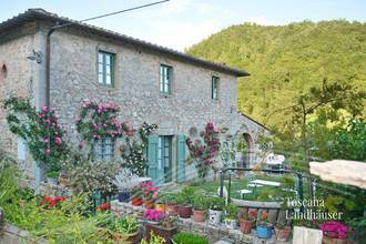 Thumbnail von Märchenhaftes Rustico im Chianti Gebiet mit Infinity-Pool