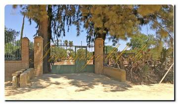 Thumbnail von Immogold Finca mit großem Grundstück, Pool und schönem Garten