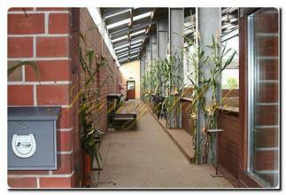 Thumbnail von Immogold, Reitanlage mit ca. 50.0000 m² Grundstück, Reithalle und Gastgewerbe