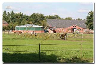 Thumbnail von Immogold, Reitanlage mit ca. 50.0000 m² Grundstück, Reithalle und Gastgewerbe