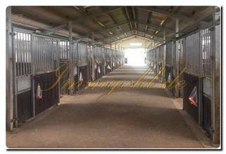 Thumbnail von Immogold, Reitanlage mit ca. 50.0000 m² Grundstück, Reithalle und Gastgewerbe