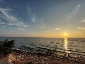 Thumbnail von Modernes Neubau-Appartement nahe dem Meer