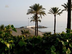 Thumbnail von Luxus-Villa in The Golden Mile  R2578358