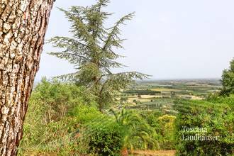 Thumbnail von Toskanische Villa mit Meerblick